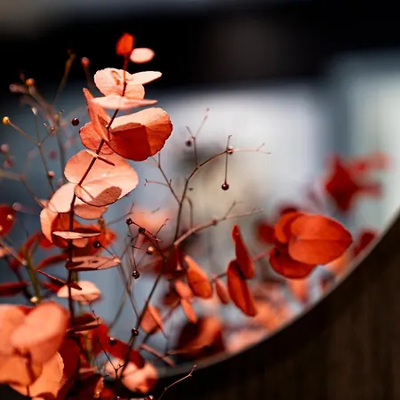 De La Paix Tour Eiffel Hotel 3*